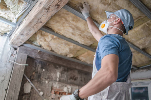 Types of Insulation We Offer in Highland, MD