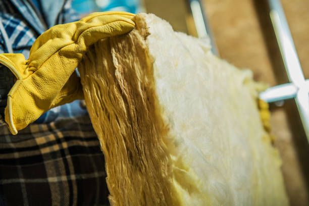 Best Cellulose Insulation in Highland, MD